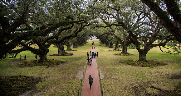 Oak Alley Plantation view from back porch