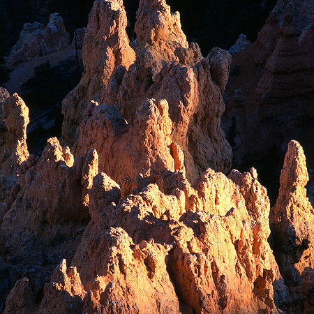 Cedar Breaks National Monument