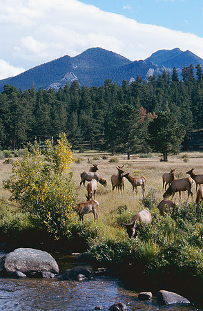 Rocky Mountain National Park