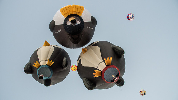 Three Penguins from underneath