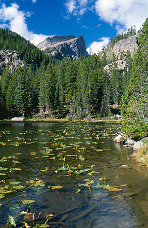 Nymph Lake