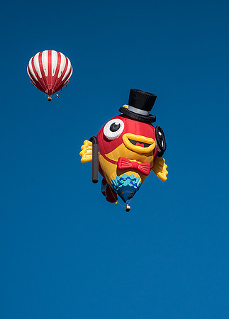 Mr. Fish