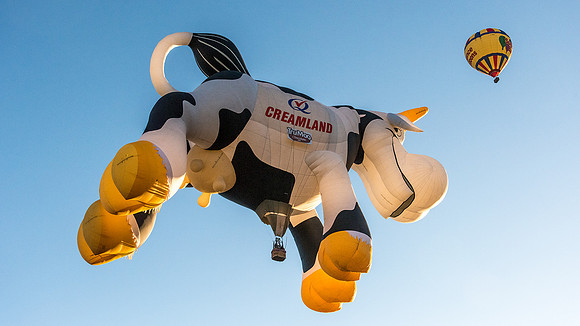 Creamland Cow, Airabelle