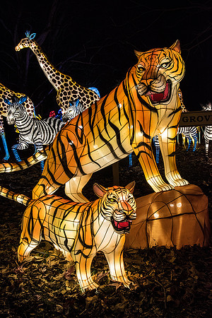 Chinese Lantern Festival
