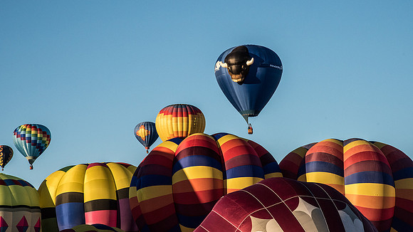 In the Buff takes off