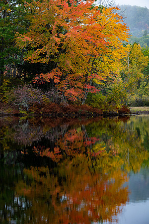 Fall color reflections