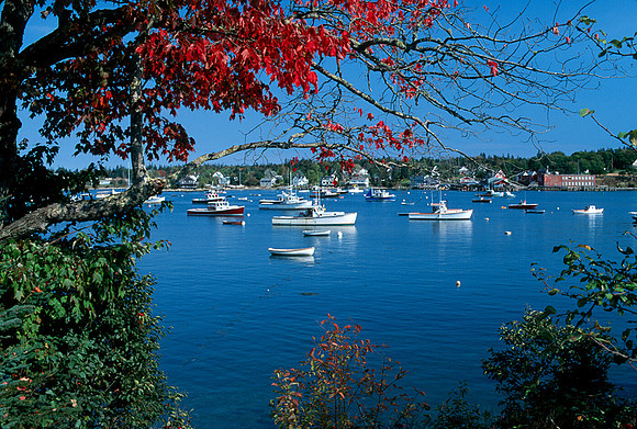 Maine harbor