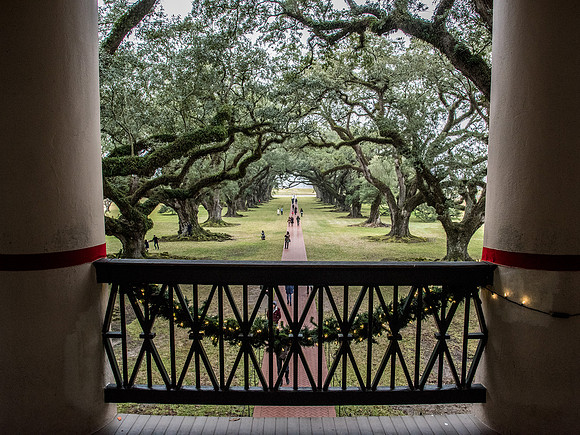 Oak Alley Plantation view from back porch