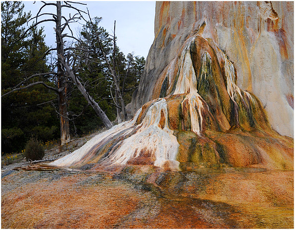 Mamoth Hot Springs