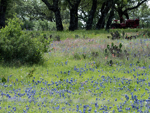 Texas Hill Country