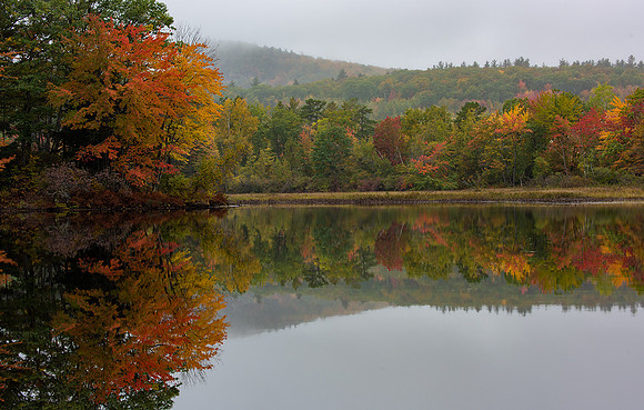 Fall Color in New Hampshire