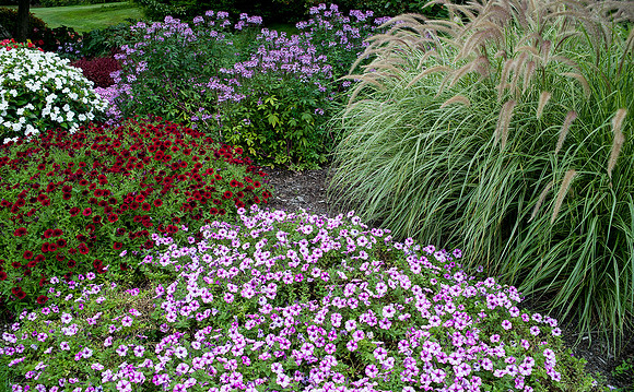 Longwood Gardens