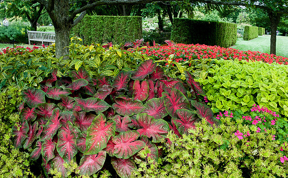 Longwood Gardens