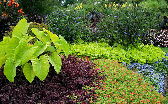 Longwood Gardens