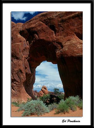 Pine Tree Arch