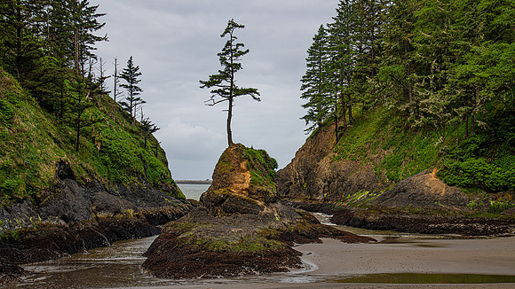 Dead Mans Cove