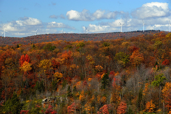 Wind Farm