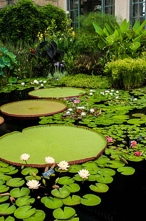 Longwood Gardens