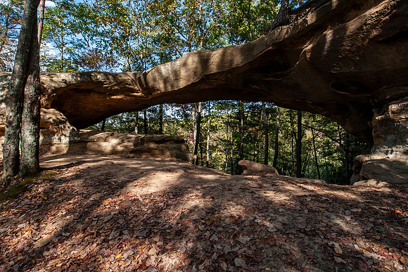Princess Arch, Red River Gorge, KY