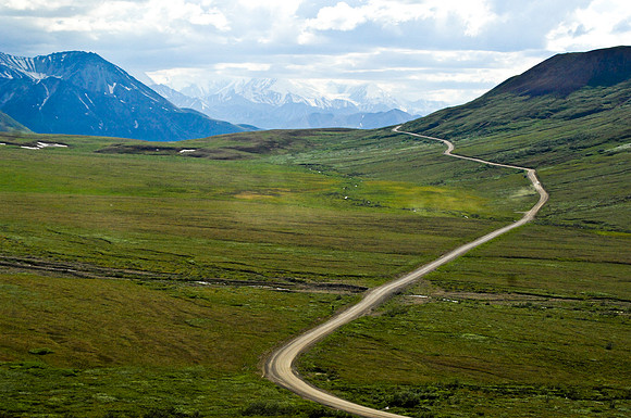 the road to Denali national park
