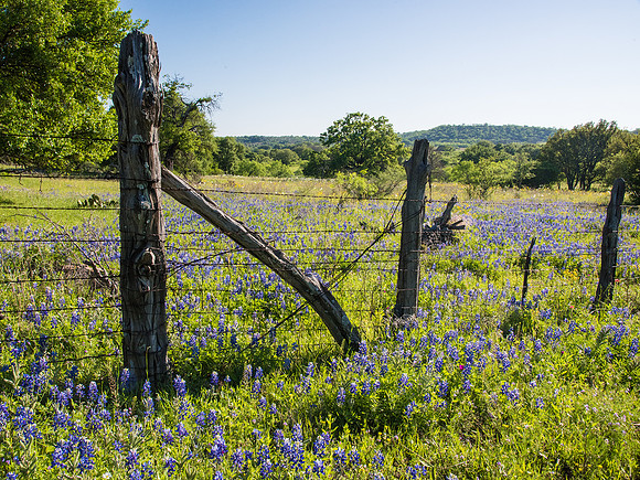 Texas Hill Country