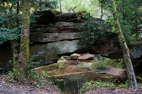 Rock Bridge, Red River Gorge, KY