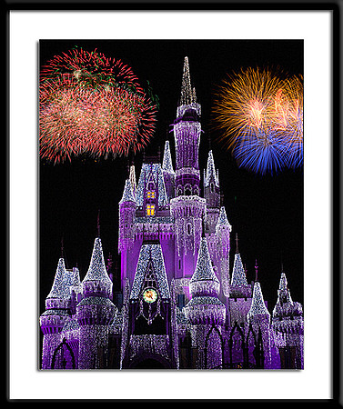 Walt Disney World