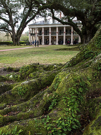 Oak Alley Plantation