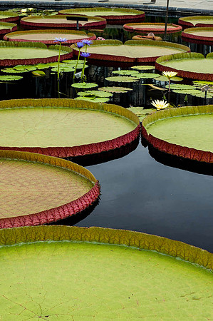 Longwood Gardens