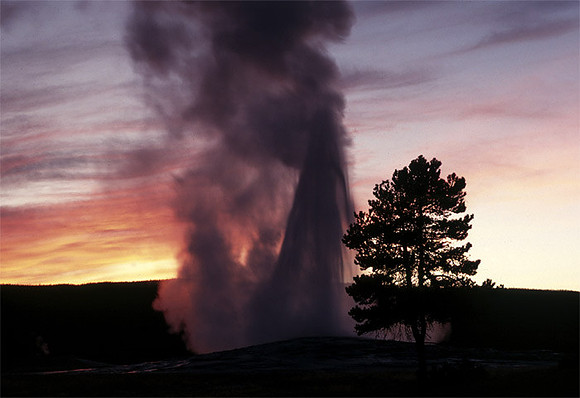 Old Faithful