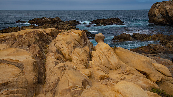 Point Lobos State Reserve