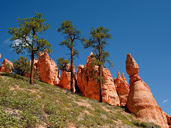 Bryce Canyon