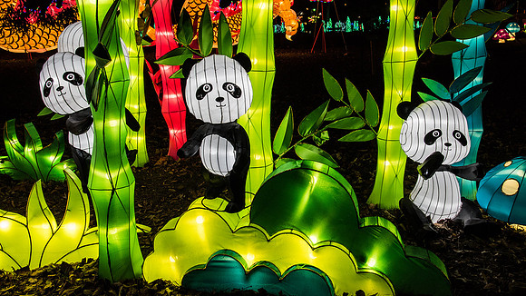 Chinese Lantern Festival