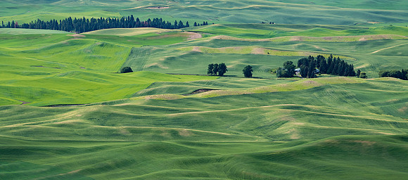 the Palouse