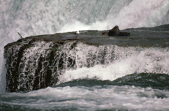 Niagara Falls
