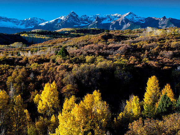 Dallas Divide