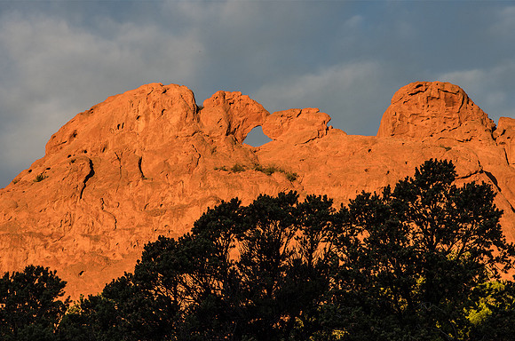 Kissing Camels