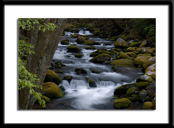 Cascade