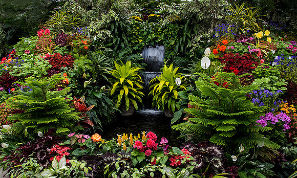 Colorful Display