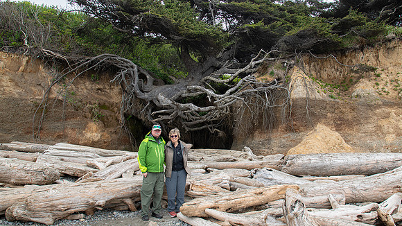 Tree of Life