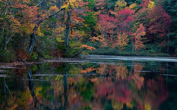 Fall Color in New Hampshire
