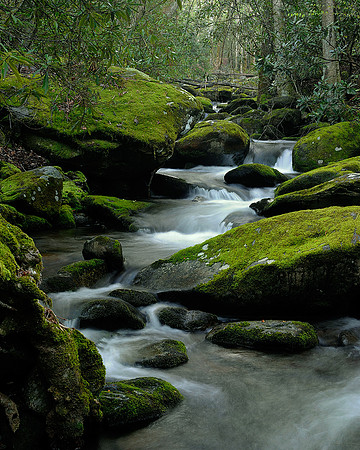 Lazy Cascade