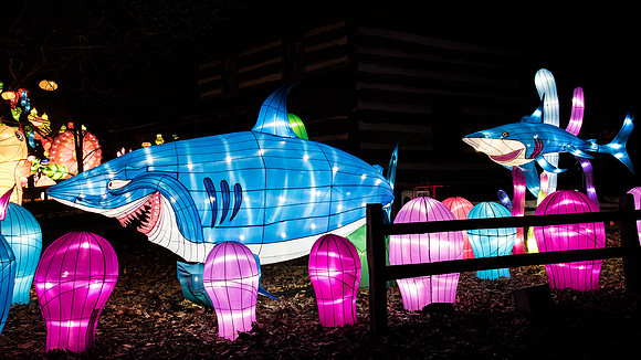 Chinese Lantern Festival
