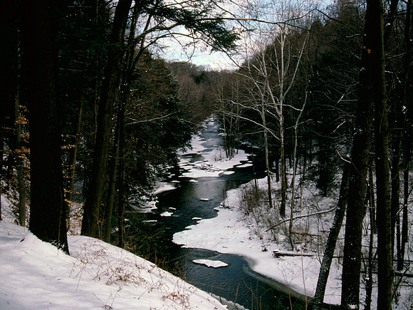 Mill Creek Park in Winter