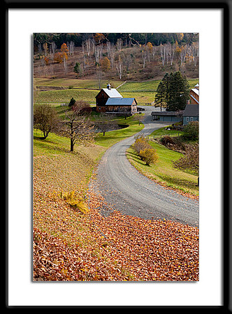 Gray Farm