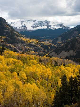 Fall Color