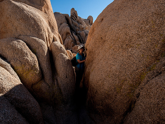 Joshua Tree National Park
