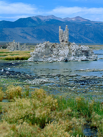 Tufa towers at Mono Lake
