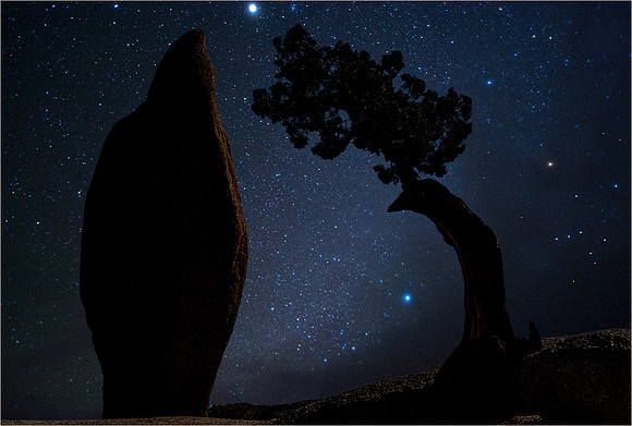 Joshua Tree National Park