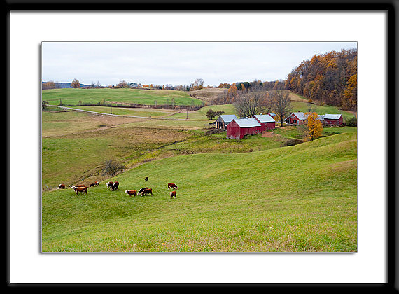 Jenne Farm